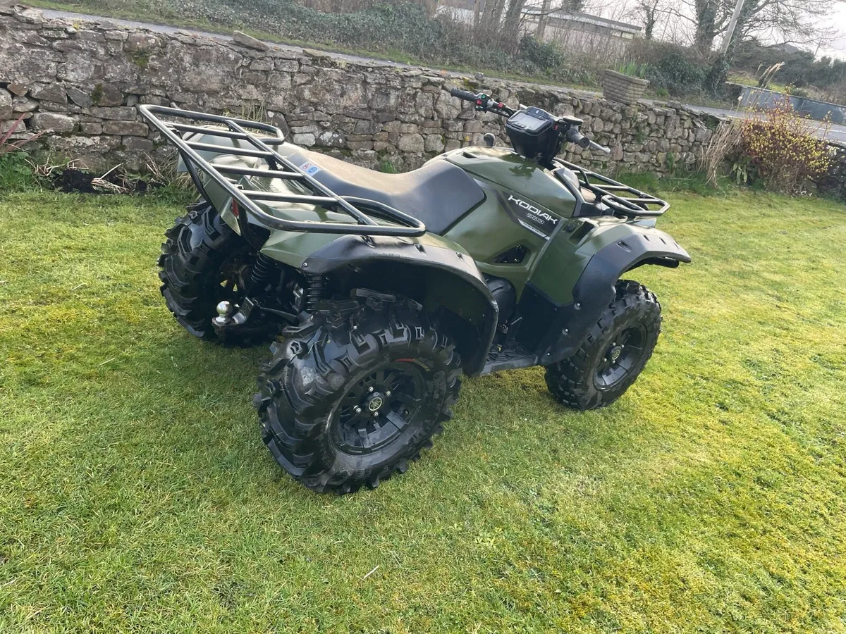 Yamaha 700 cc 2019 Power steering - Image 3