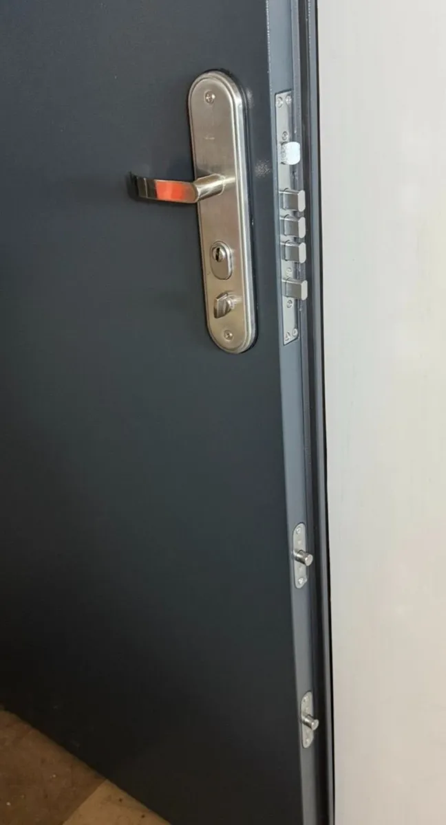 HIGH SECURITY STEEL DOORS - Image 2