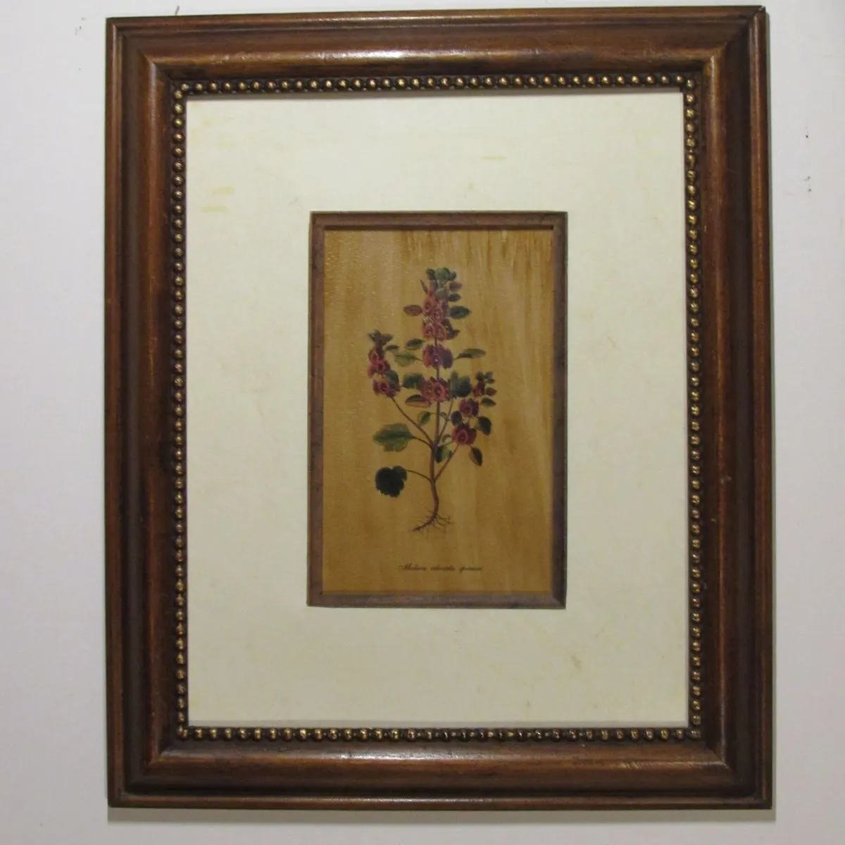 Set of 4 Botanical Framed Prints – Classic Wood - Image 3