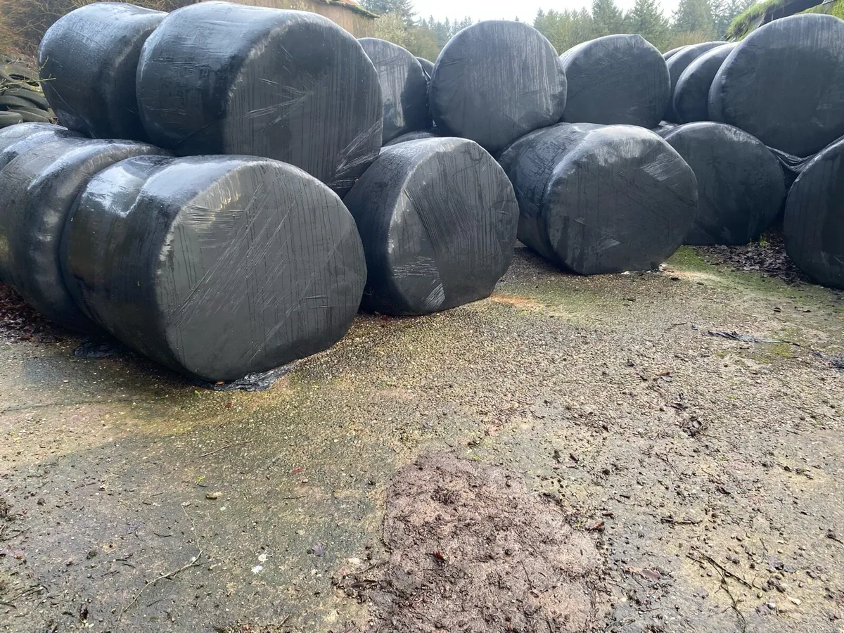 Silage bales - Image 1
