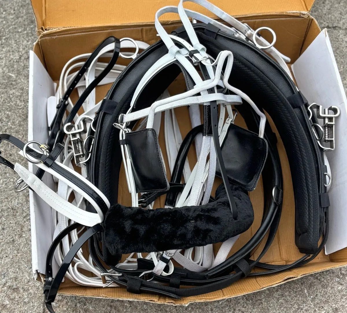 New Set Elite harness - Image 4