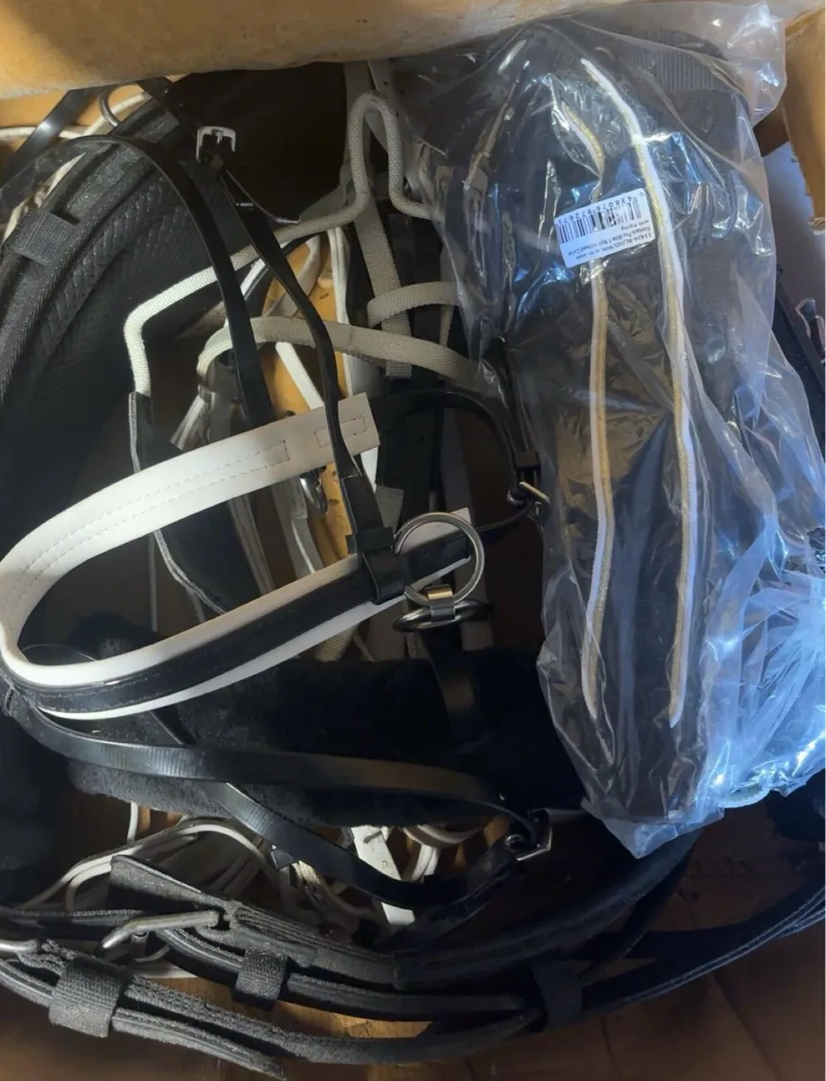 New Set Elite harness - Image 1