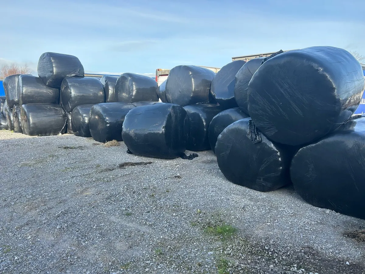 Haylage and silage - Image 2