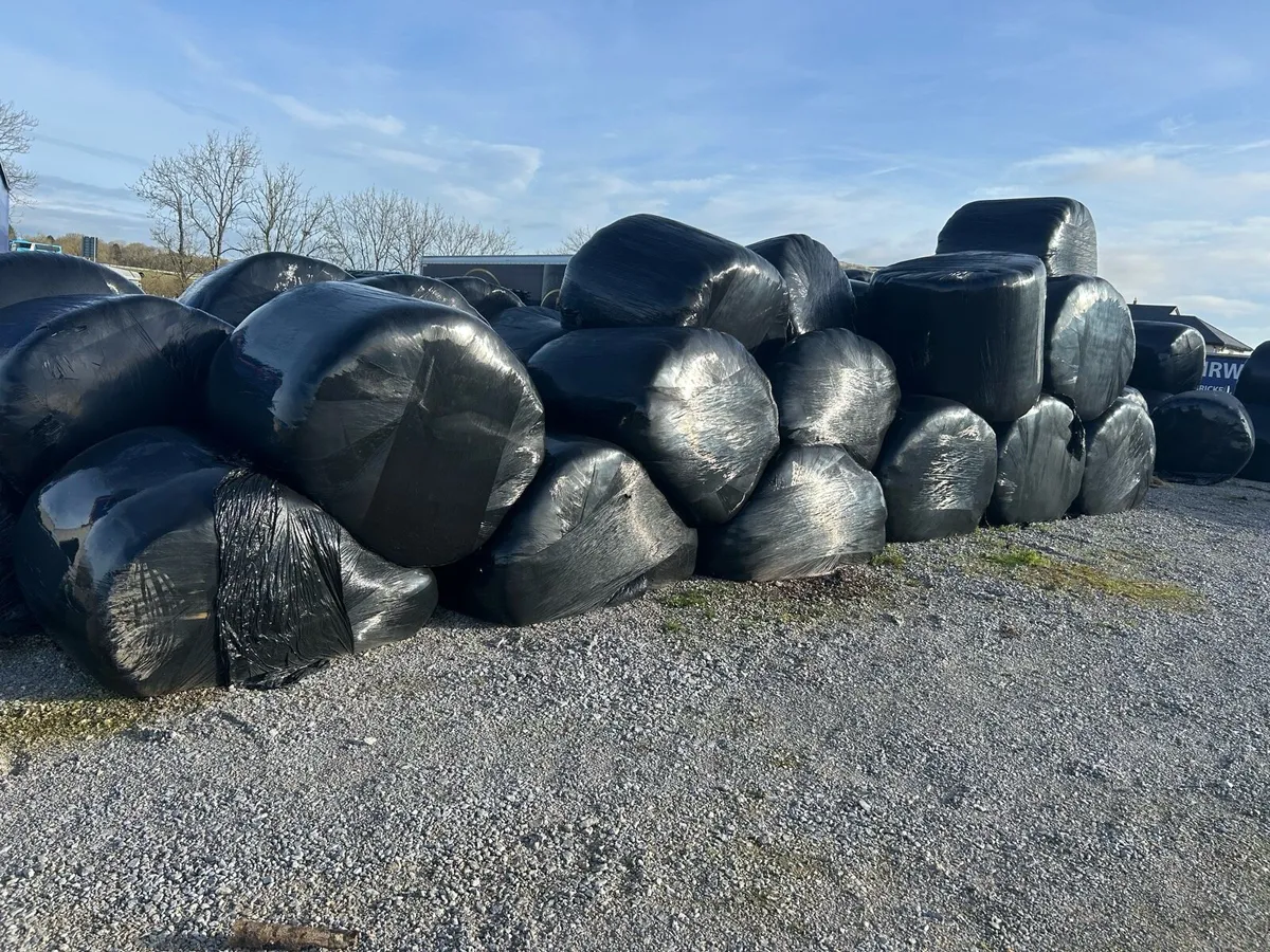 Haylage and silage - Image 1
