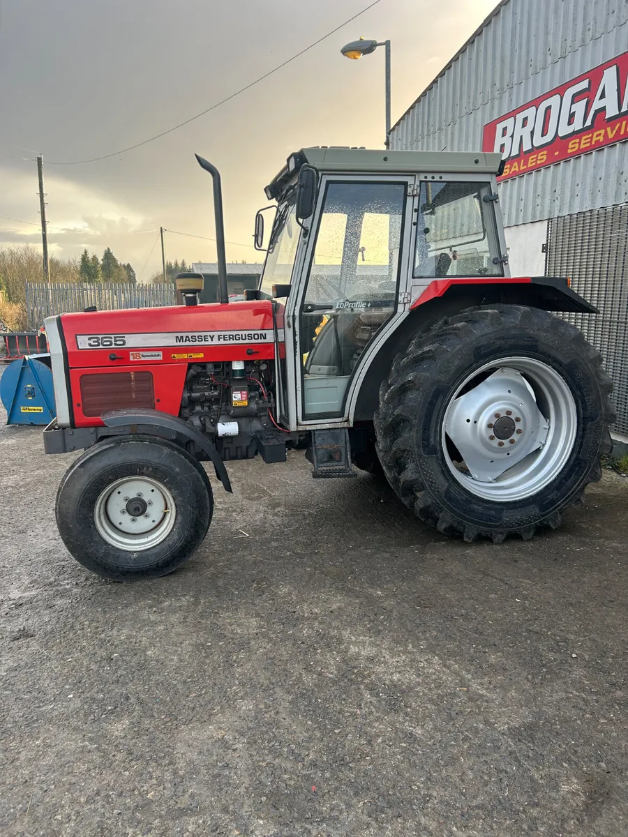 1994 Massey Ferguson 365 - Image 2