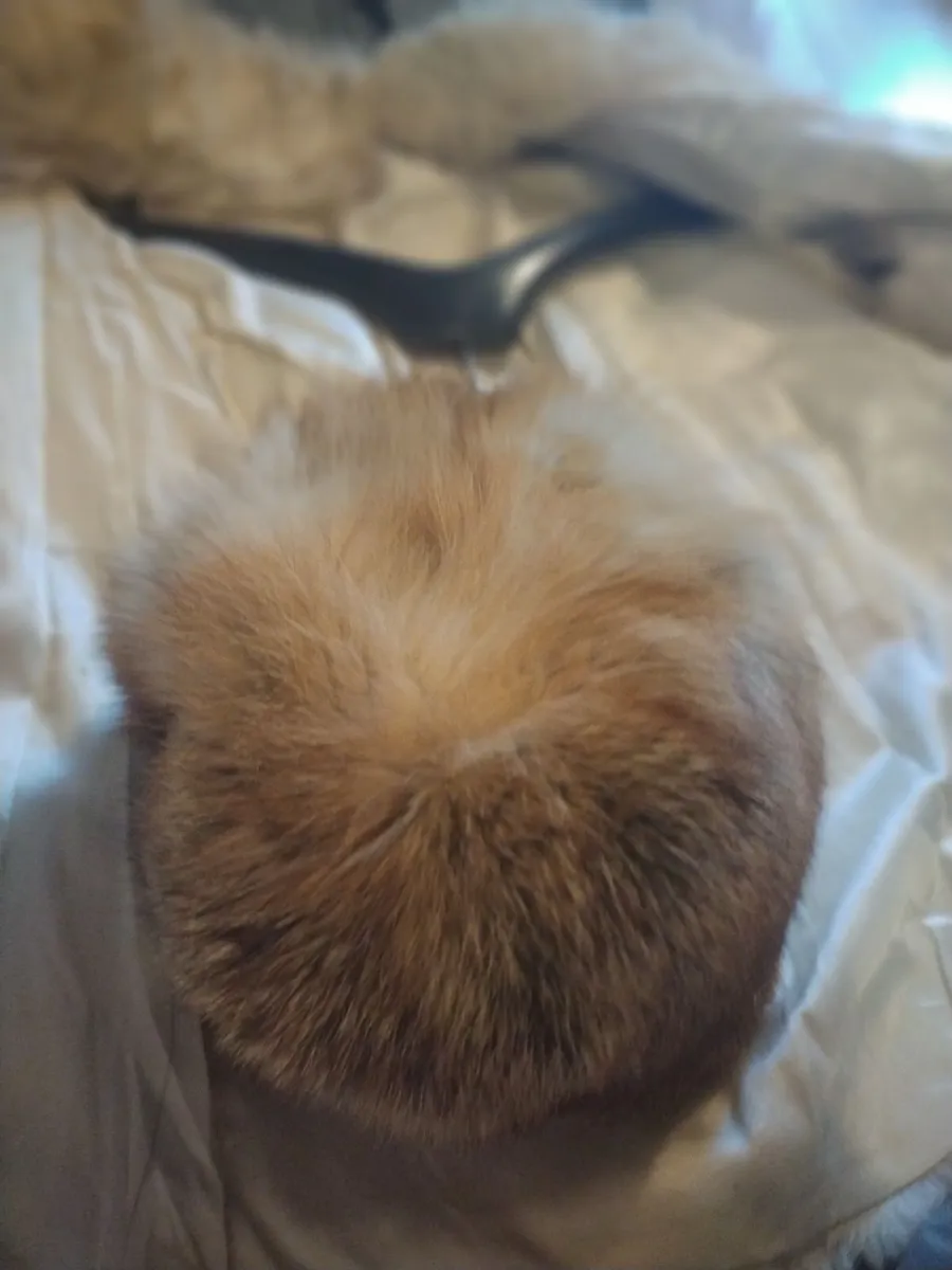 Very rare red Fox Fur hat, Beautiful! - Image 4