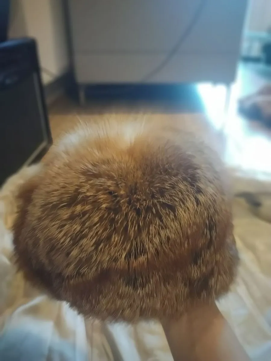 Very rare red Fox Fur hat, Beautiful! - Image 2