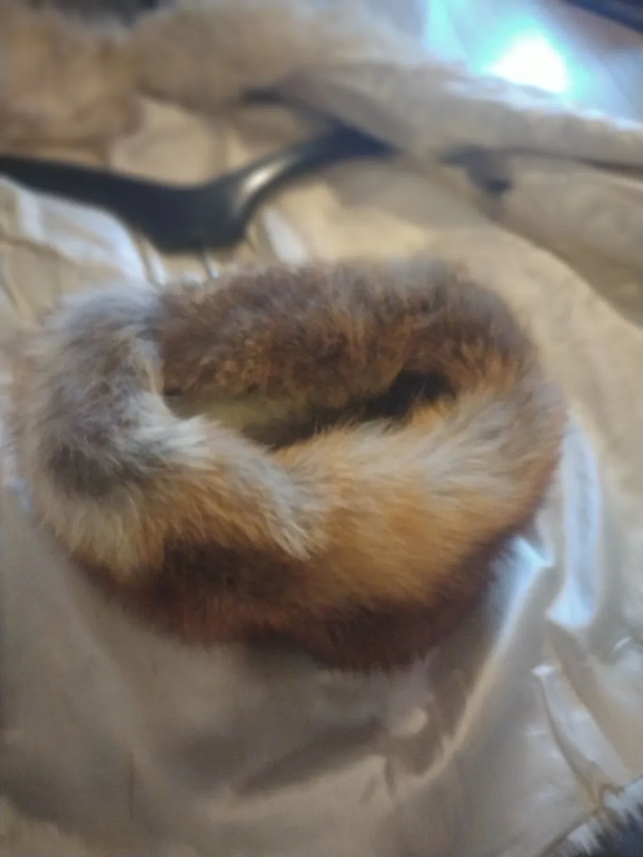 Very rare red Fox Fur hat, Beautiful! - Image 1
