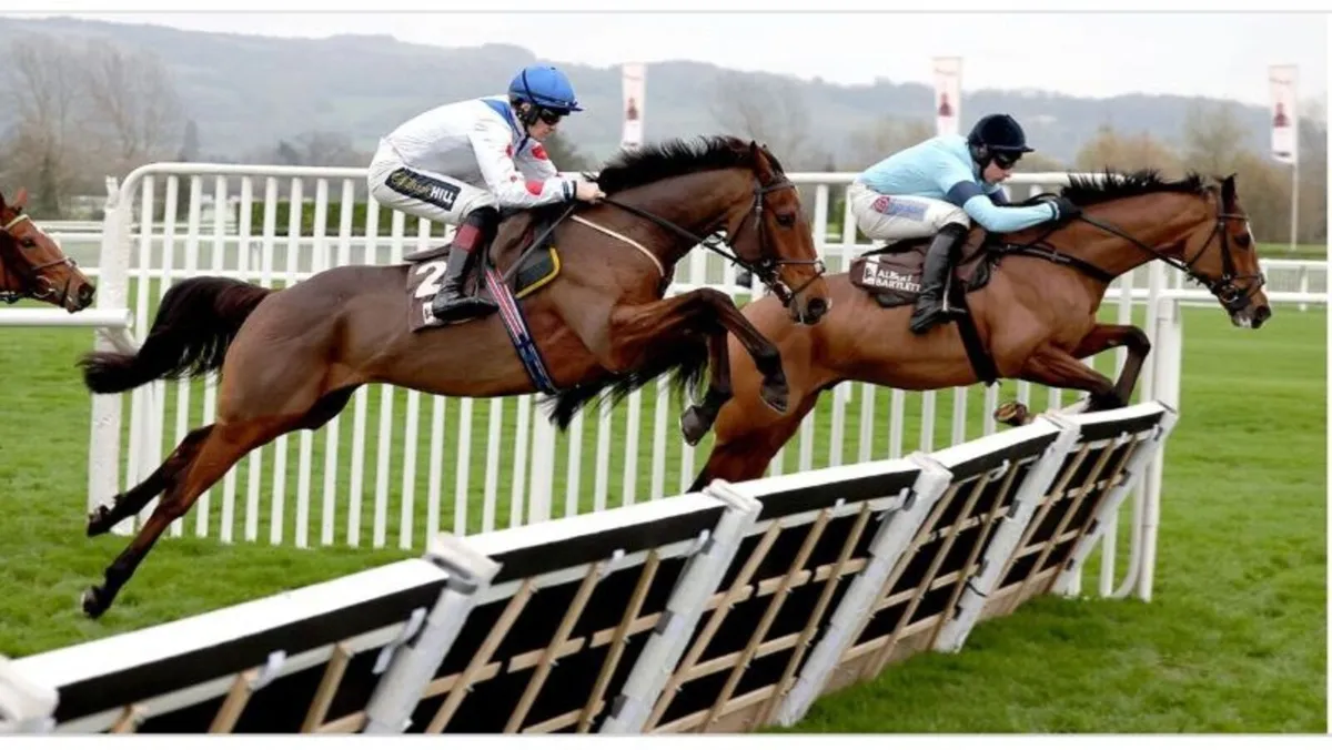 Dispersal Sale - Image 1