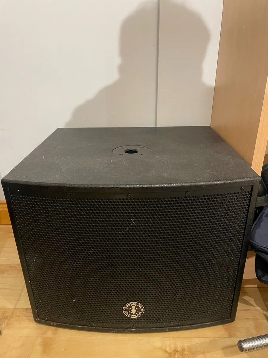 ANT Greenhead 15S Active Subwoofer – 1200W - Image 2