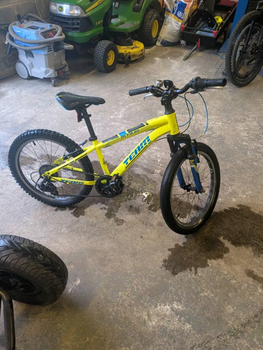 Mountain Bike - Image 1