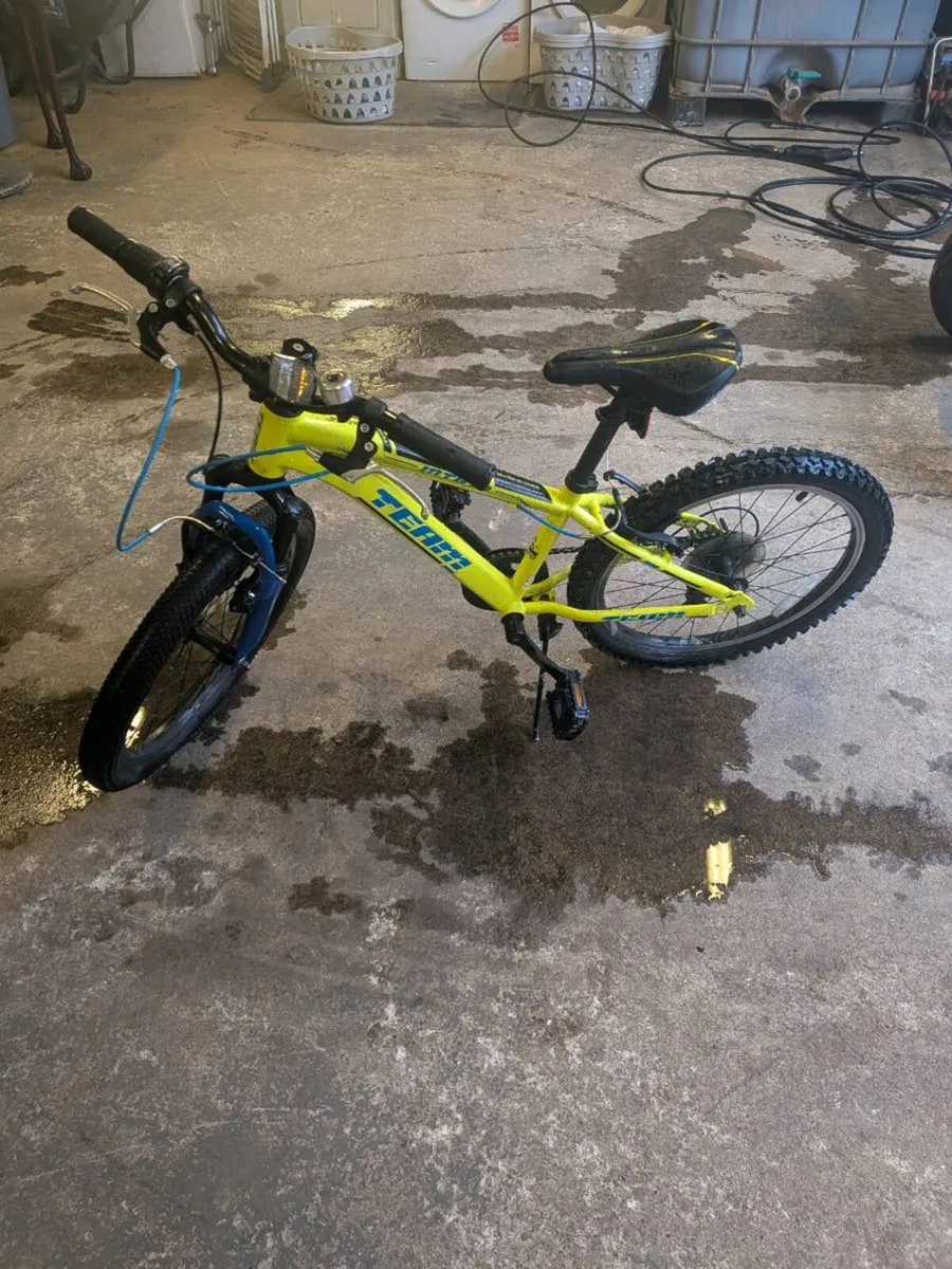 Mountain Bike - Image 2