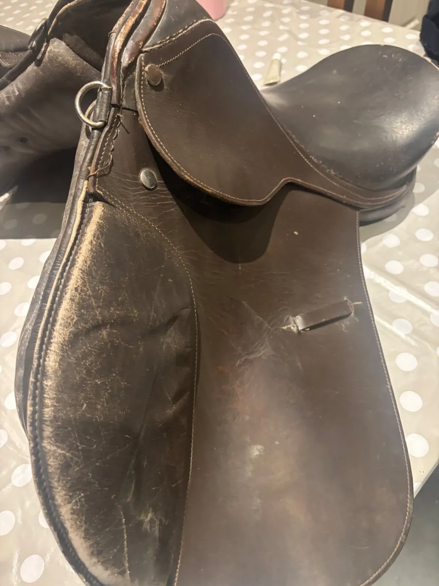 pony saddle - Image 2