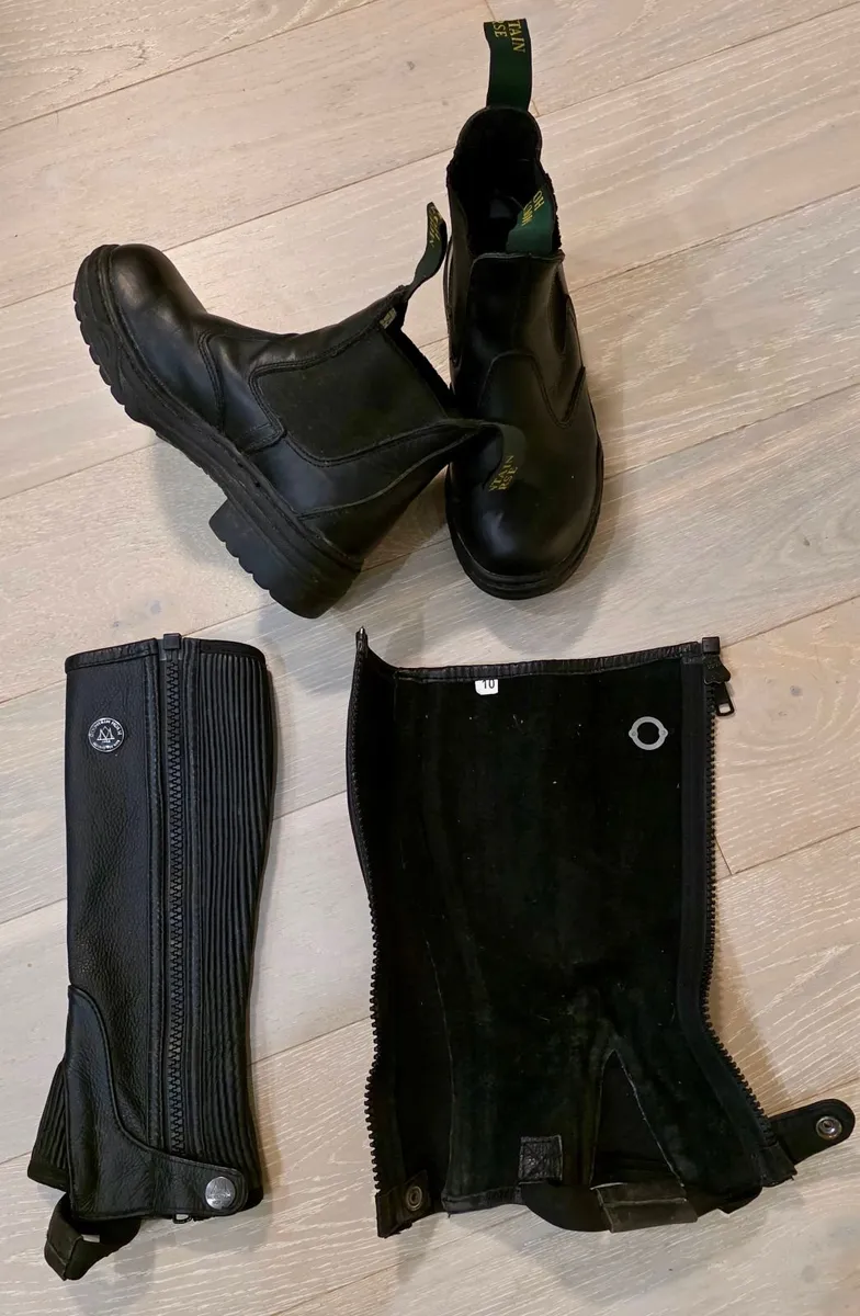 Horse Riding Boots & Chaps - Image 1
