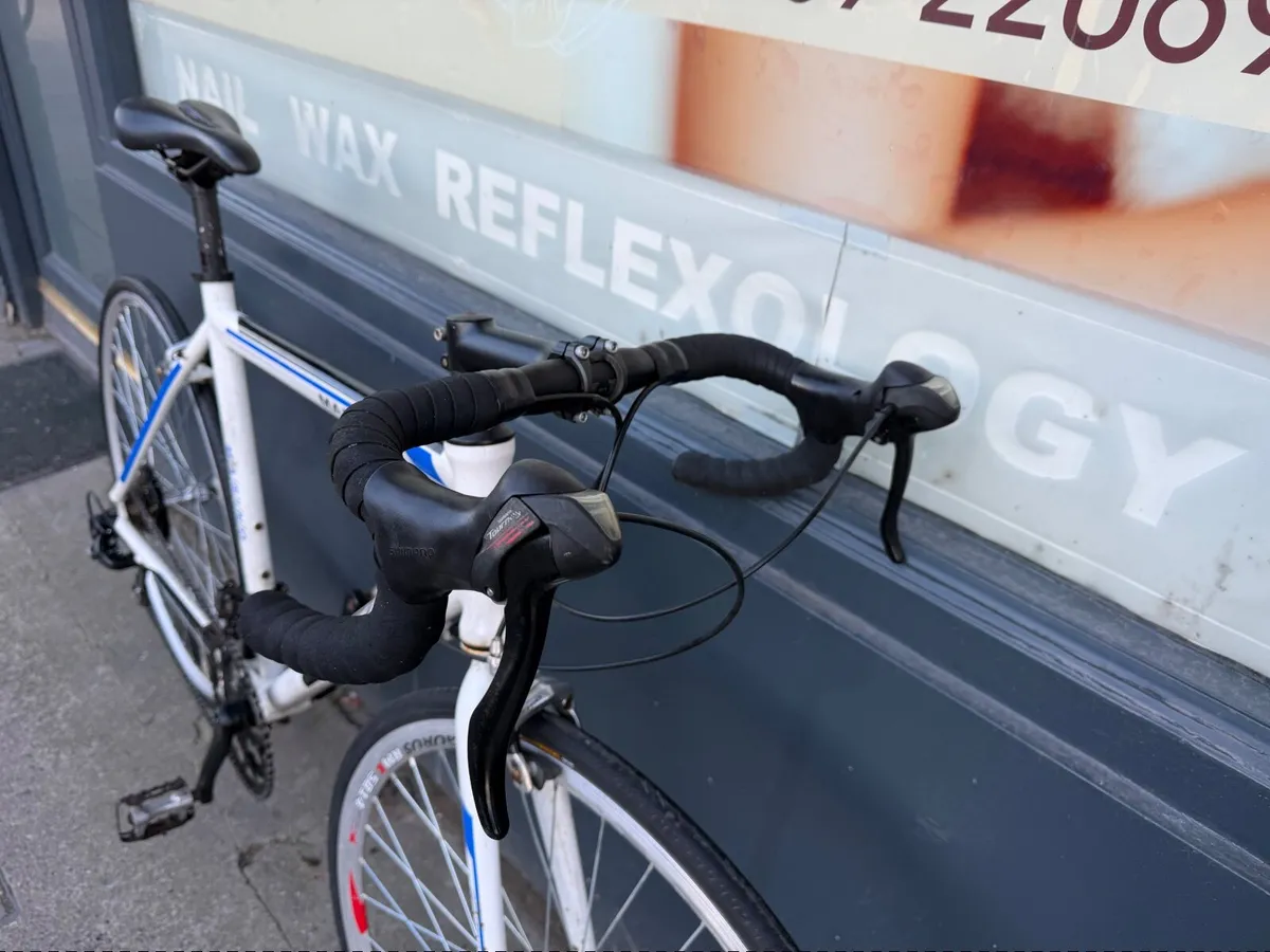 Bentini Marino ❗️Open 7 days of the week ❗️ - Image 2