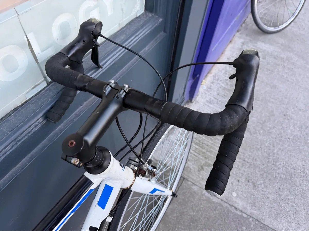 Bentini Marino ❗️Open 7 days of the week ❗️ - Image 3