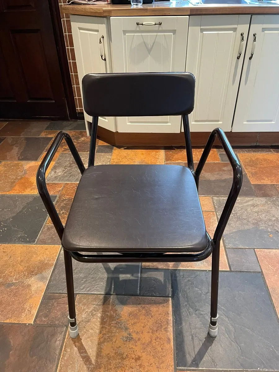 Commode Seat - Image 1