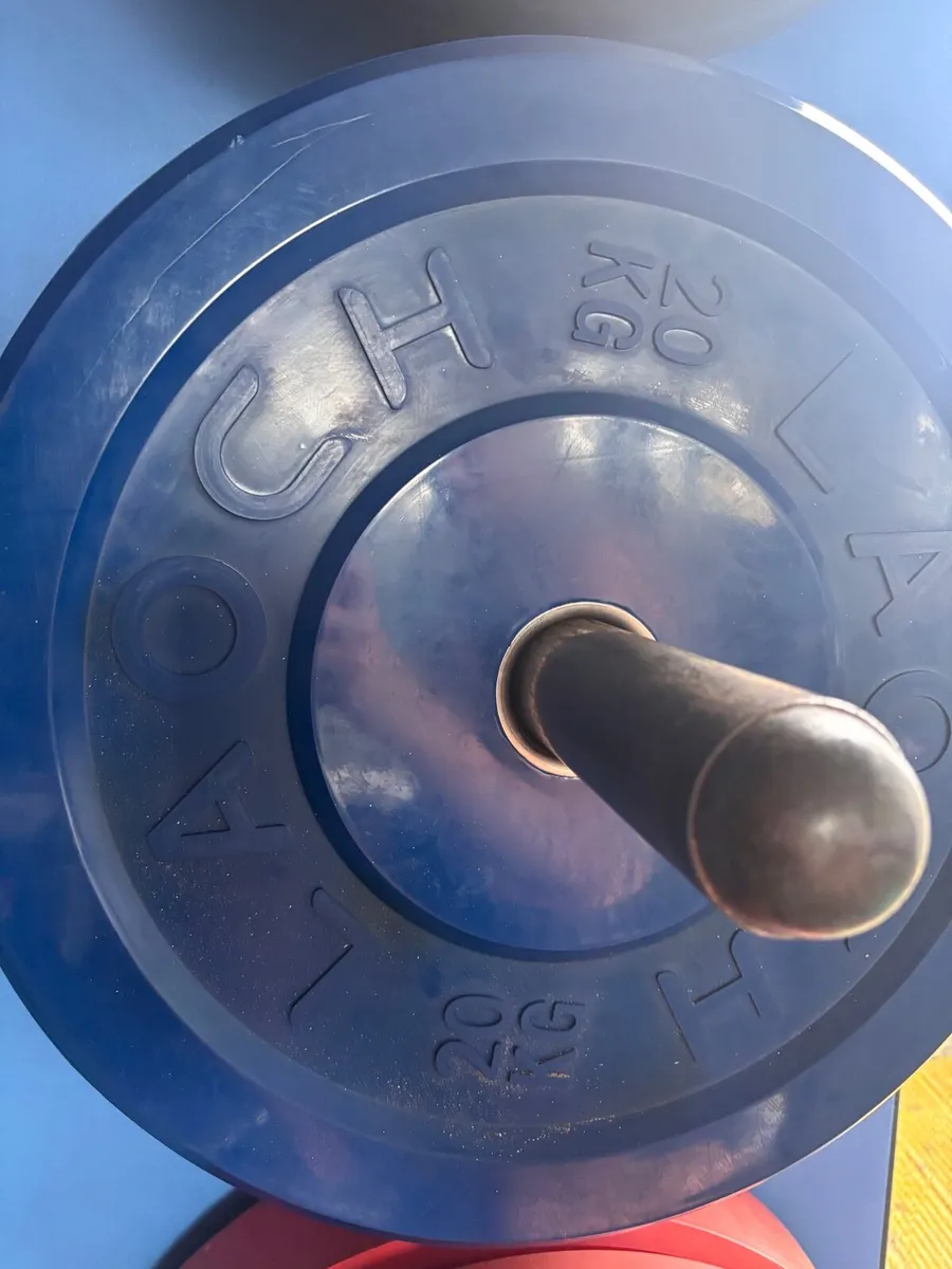 BLKBOX Hex bar, Hex dumbells and barbel plates - Image 4