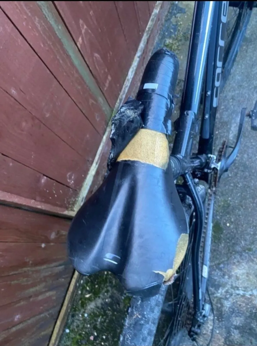 Carrera vengeance - Image 4