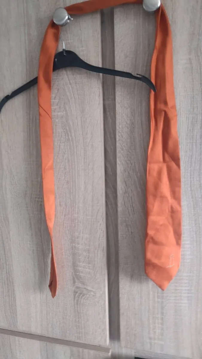 Rusty colour tie never worn - Image 1