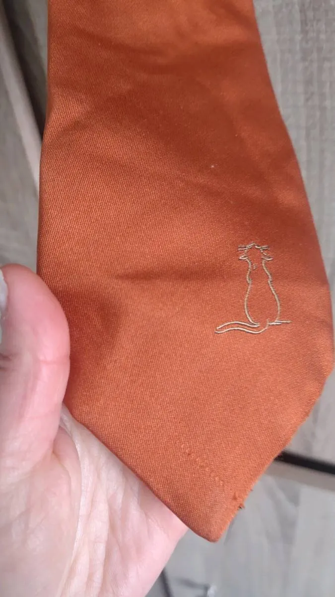 Rusty colour tie never worn - Image 2