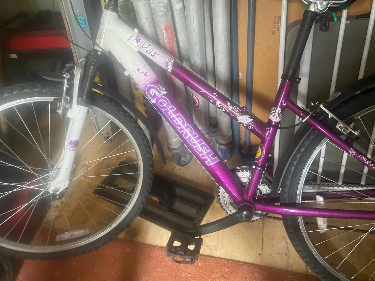 Girls Bike - Image 1