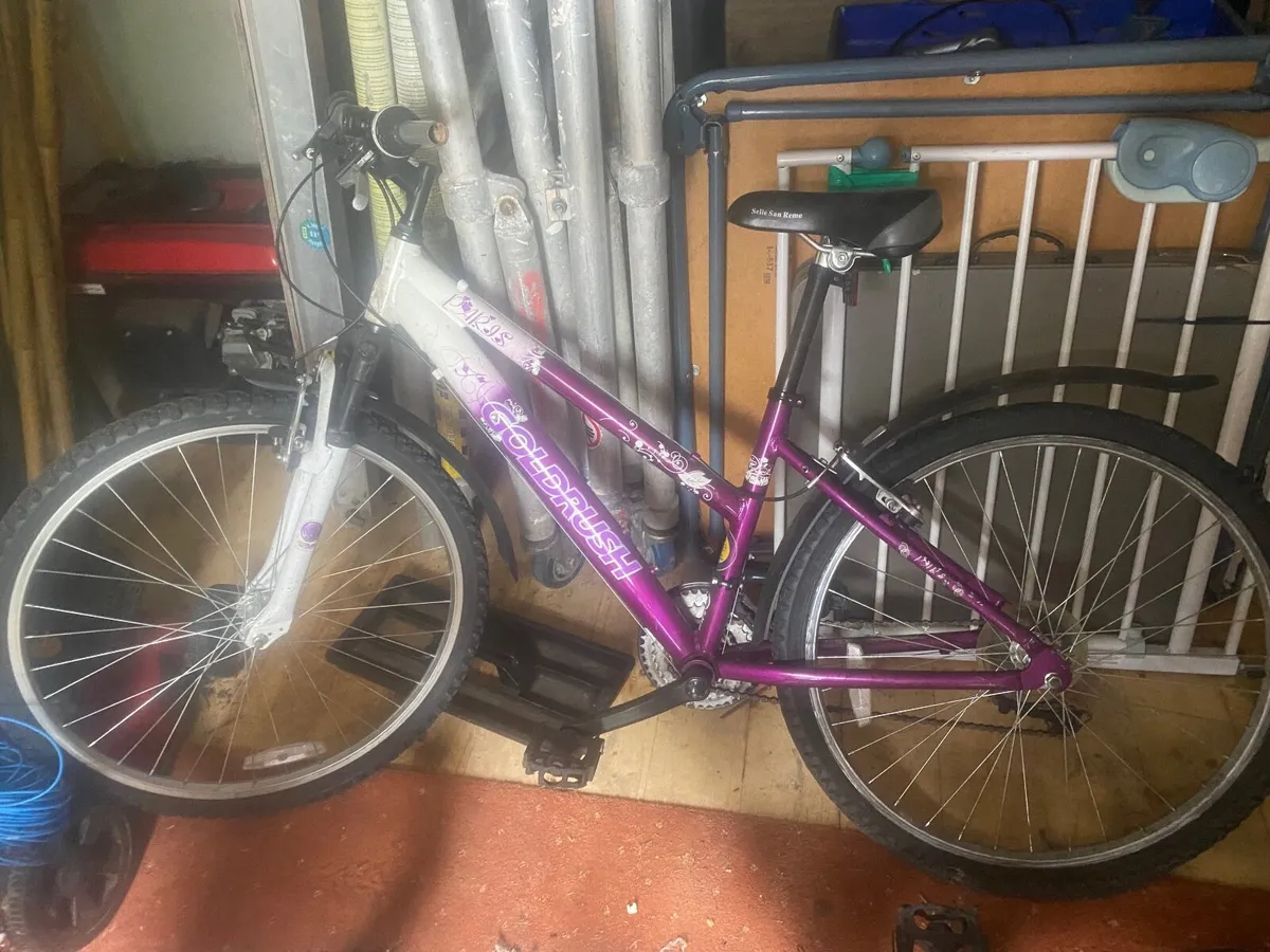 Girls Bike - Image 2