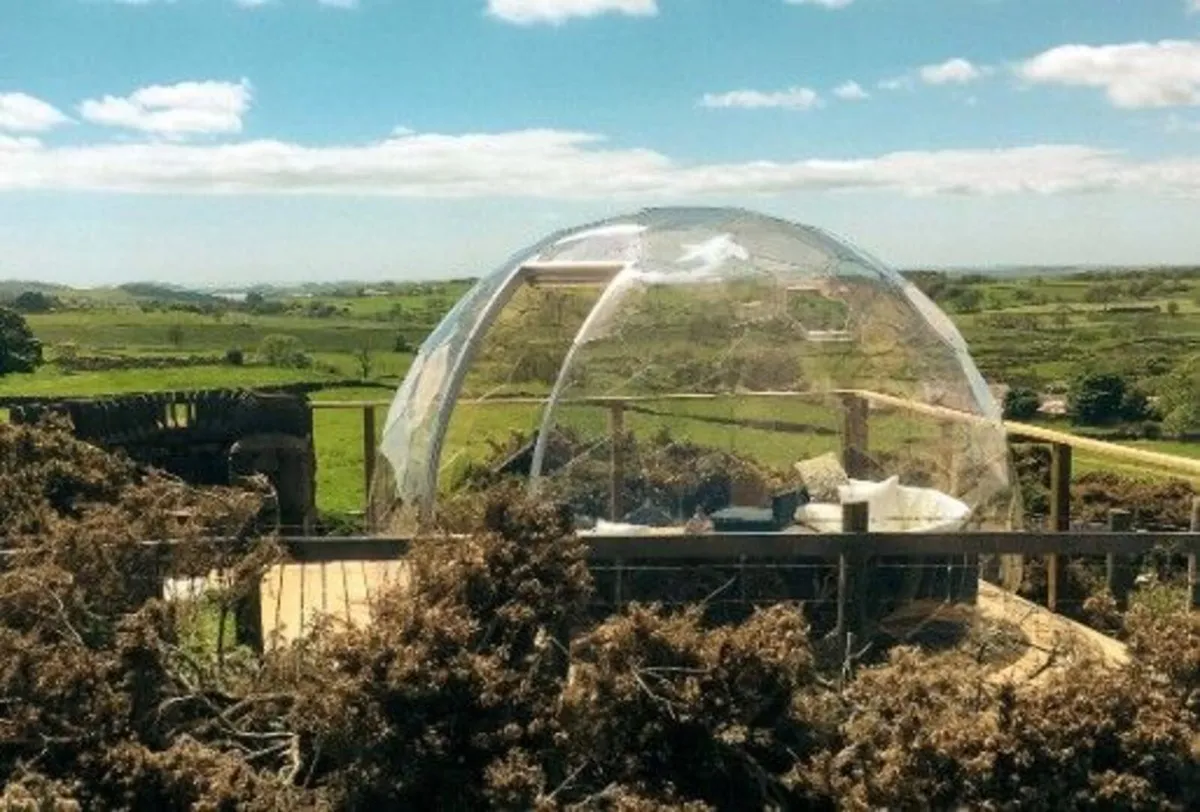 Luxury 3.5m(11.6ft) clear Dome Igloo Glamping - Image 3