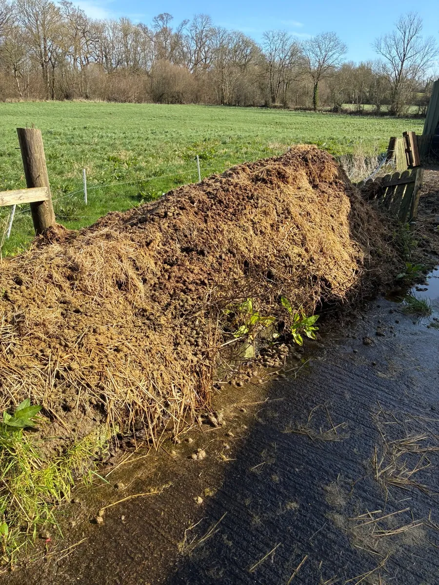 Horse manure - Image 1