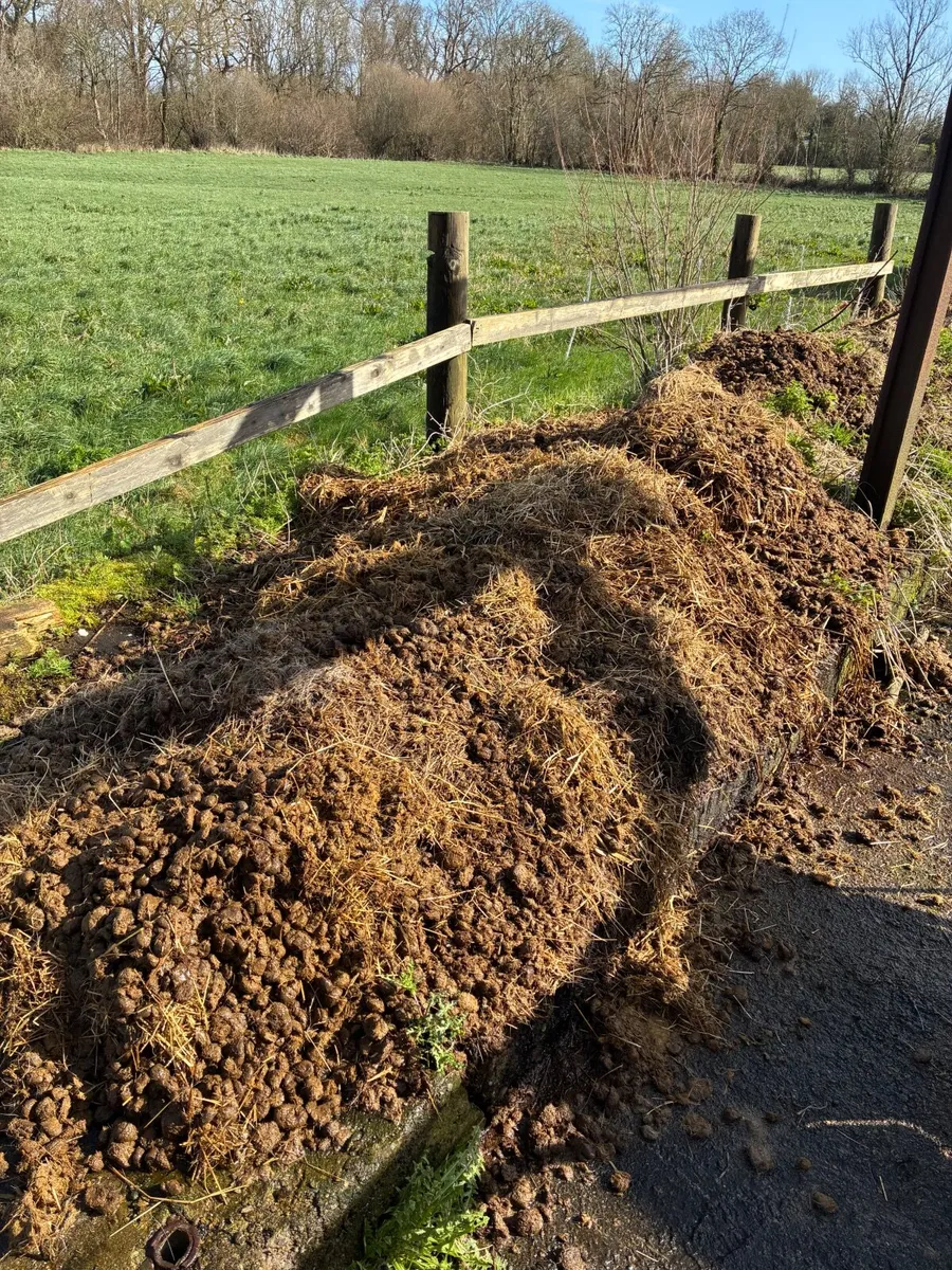 Horse manure - Image 2