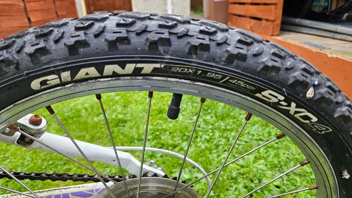 GIANT LIV 20" KIDS BIKE - Image 3