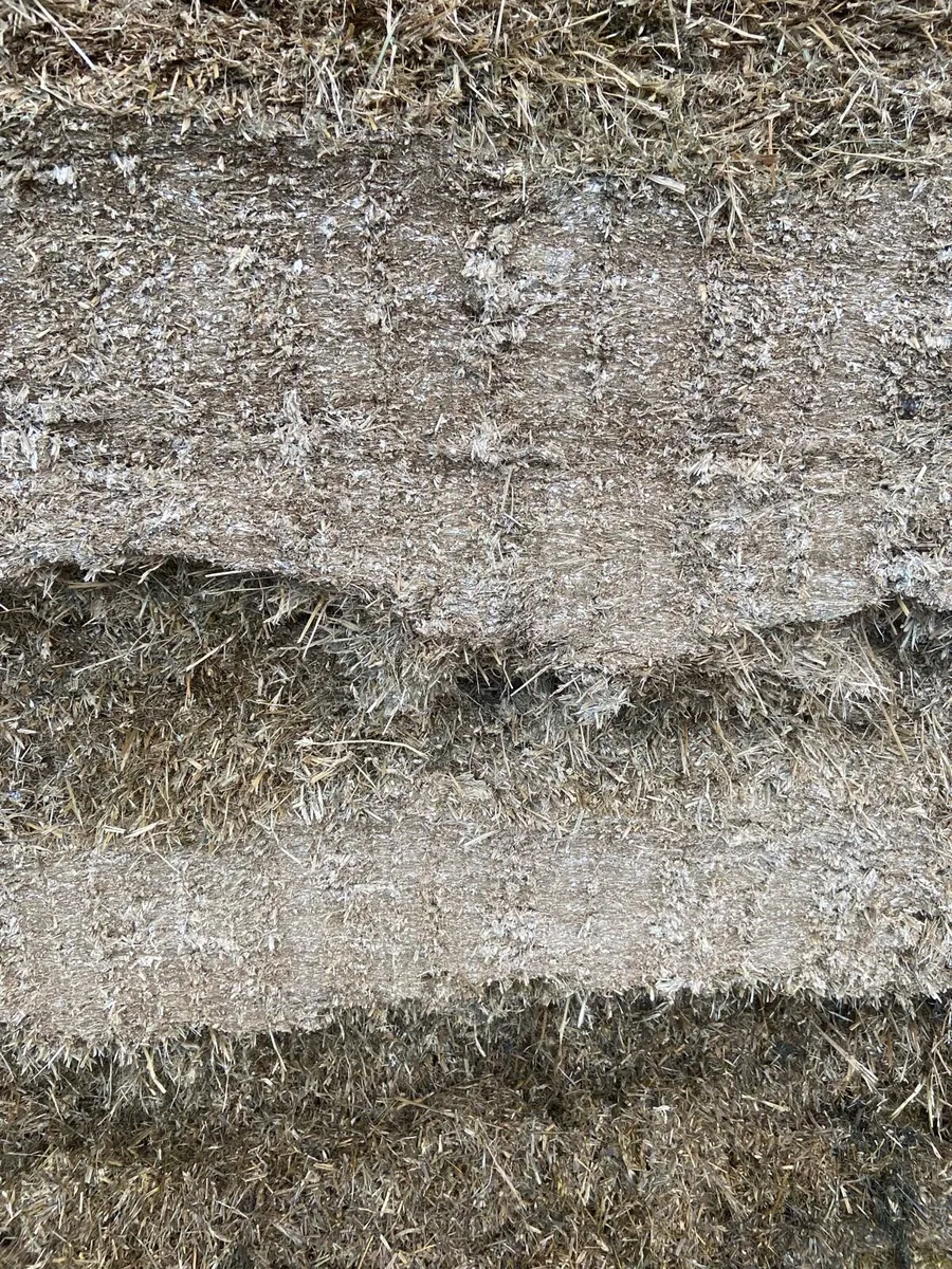 Whole Crop Wheat - Image 3