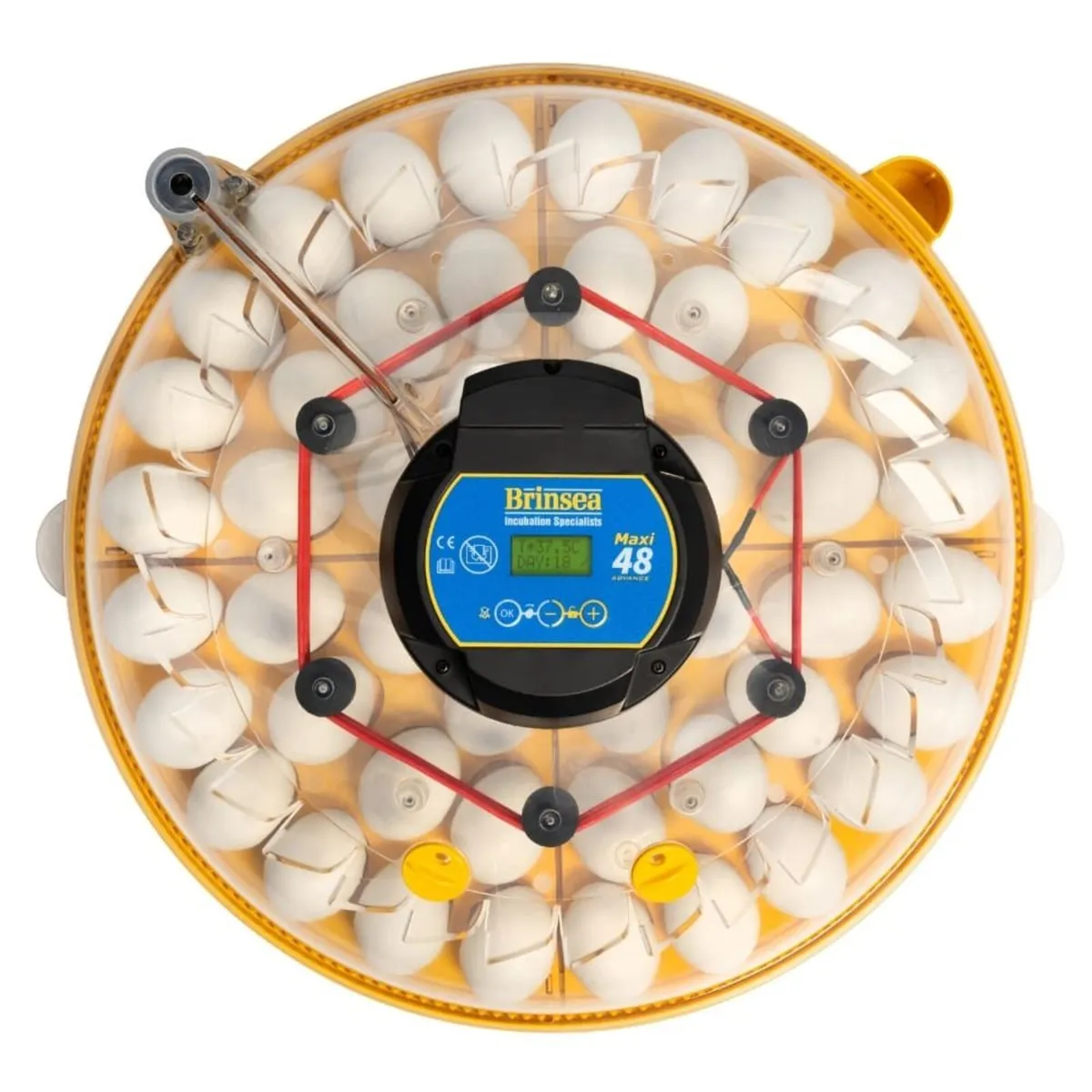 New Brinsea Maxi 48 Incubator - www.maceoinltd.com - Image 3