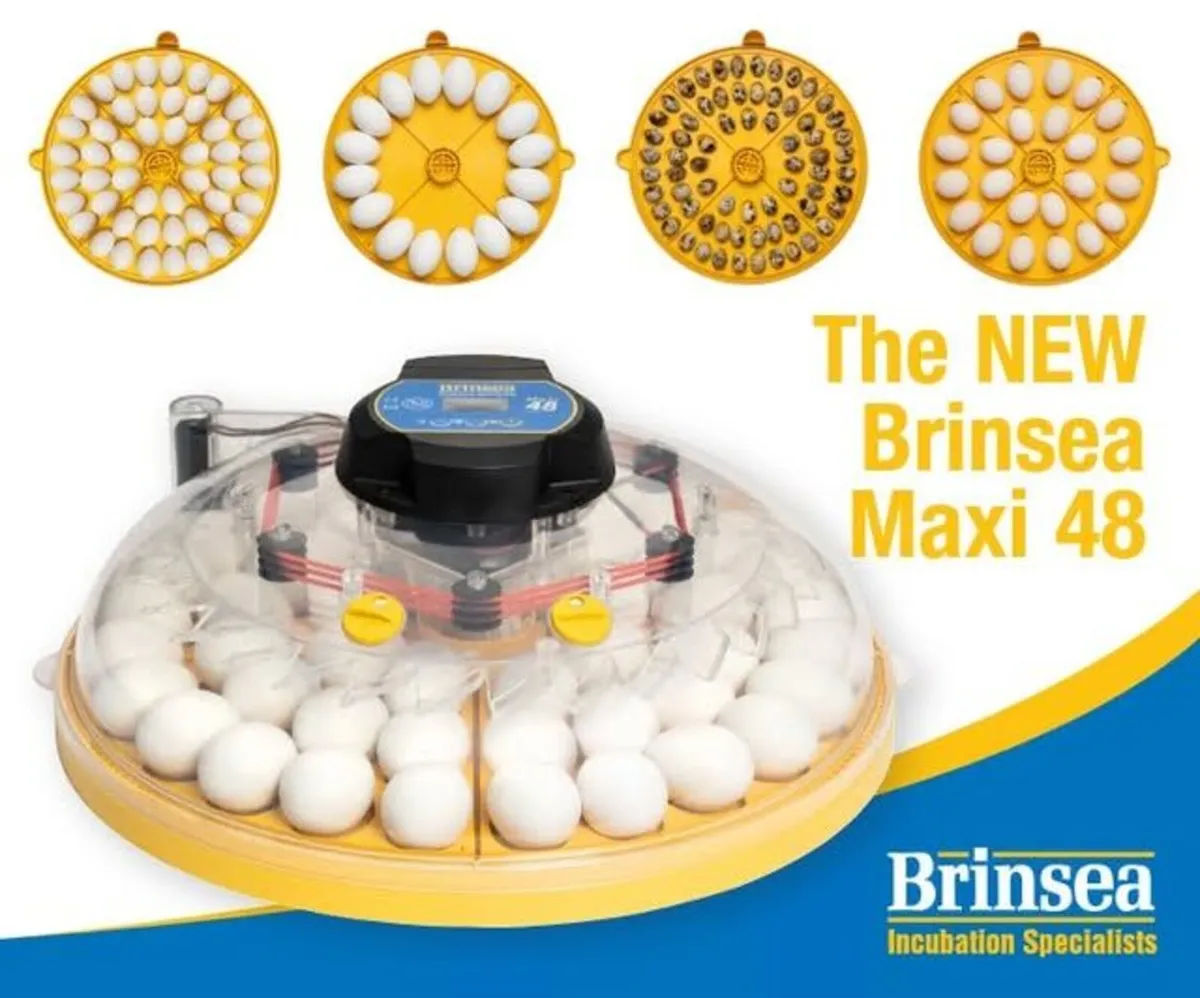 New Brinsea Maxi 48 Incubator - www.maceoinltd.com - Image 1