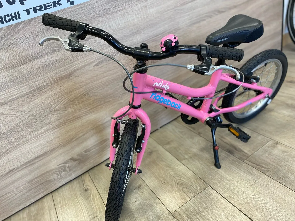 Ridgeback melody (like new) - Image 4