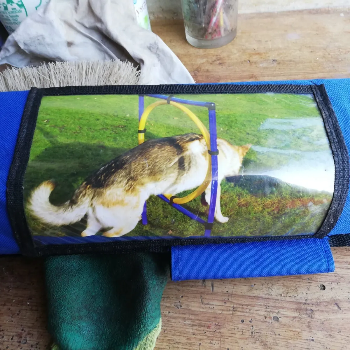 Dog Agility Equipment Training - Image 4