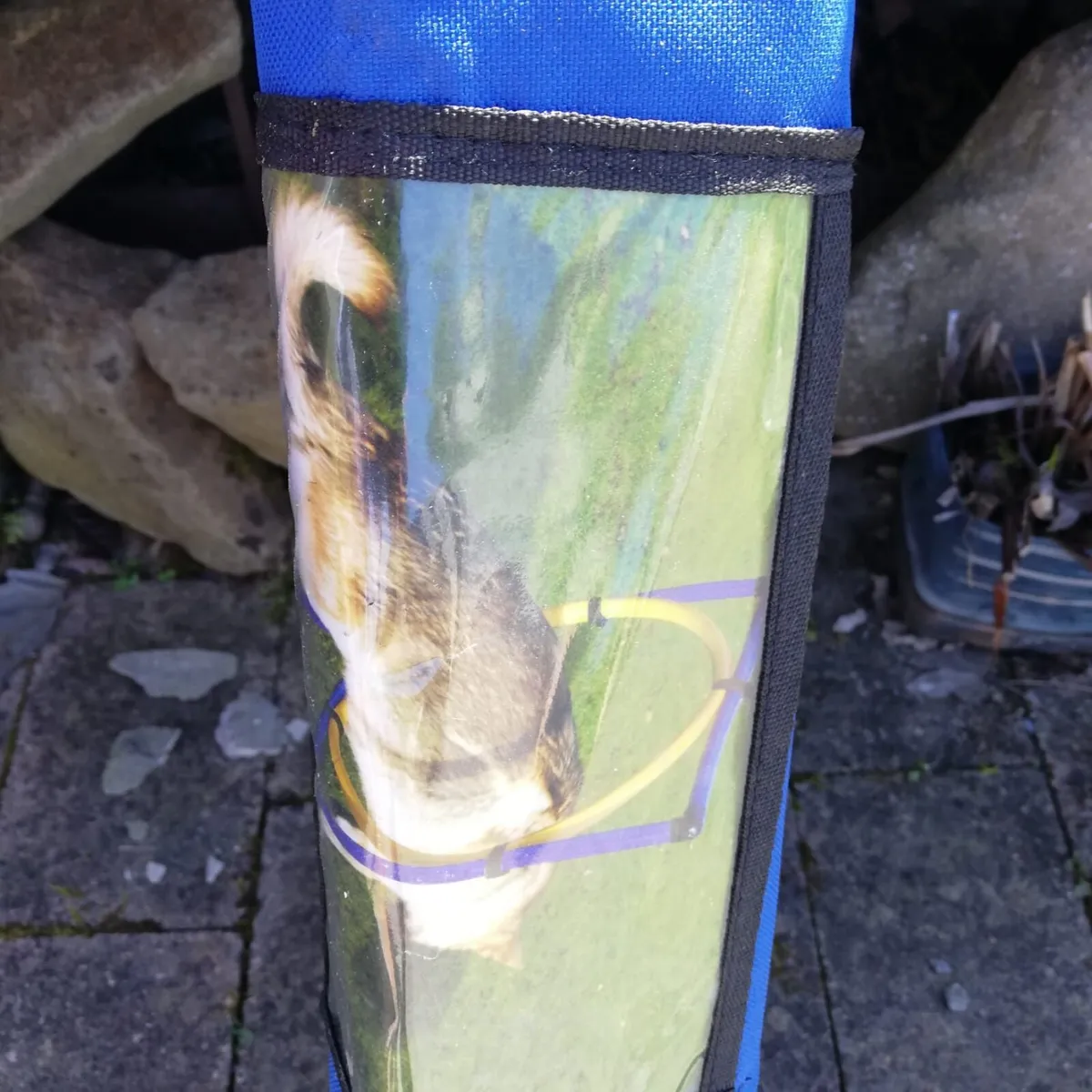 Dog Agility Equipment Training - Image 2