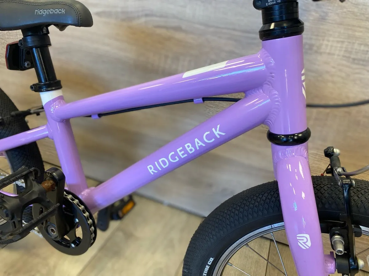 Ridgeback dimension 16 (like new) - Image 3