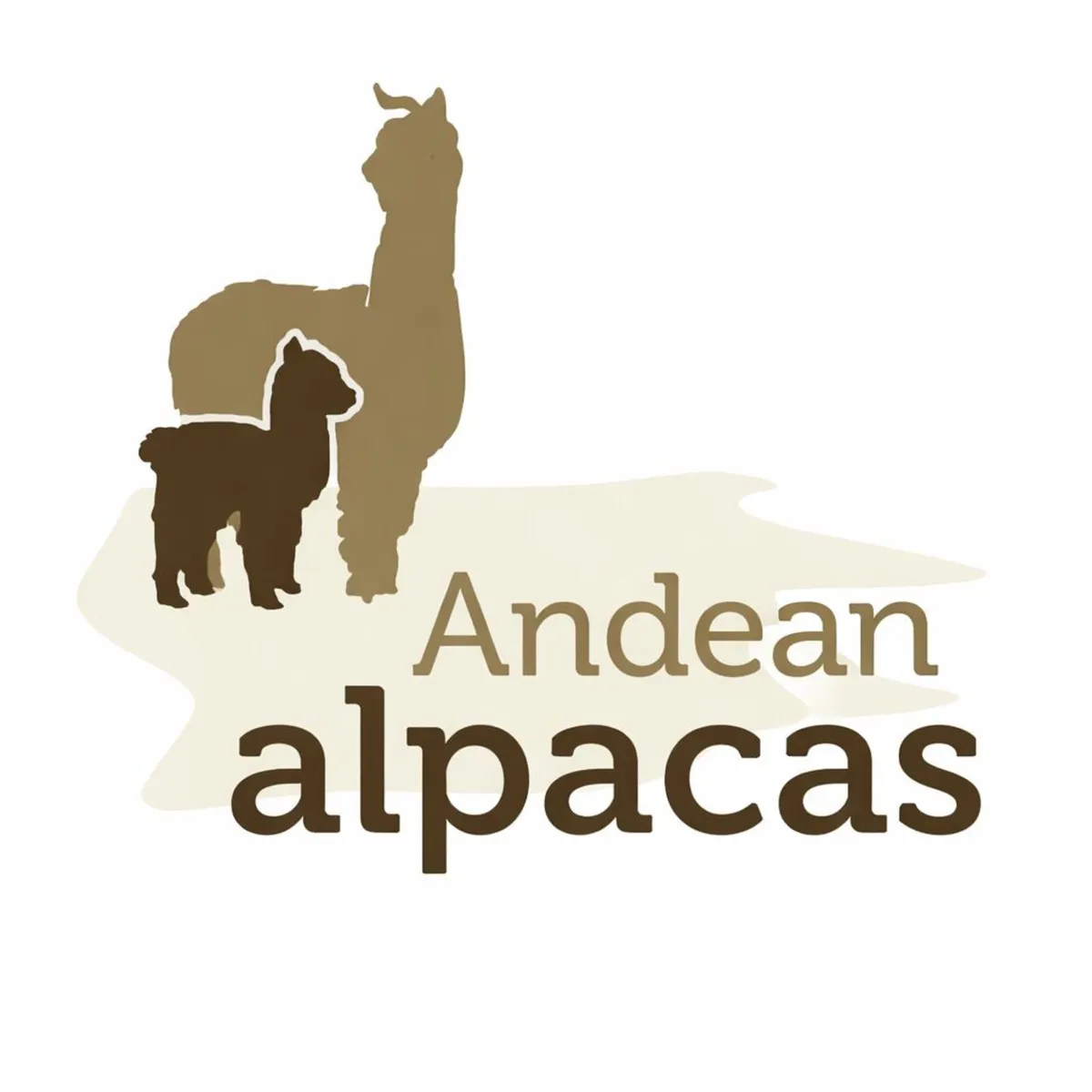 Alpacas - Image 1