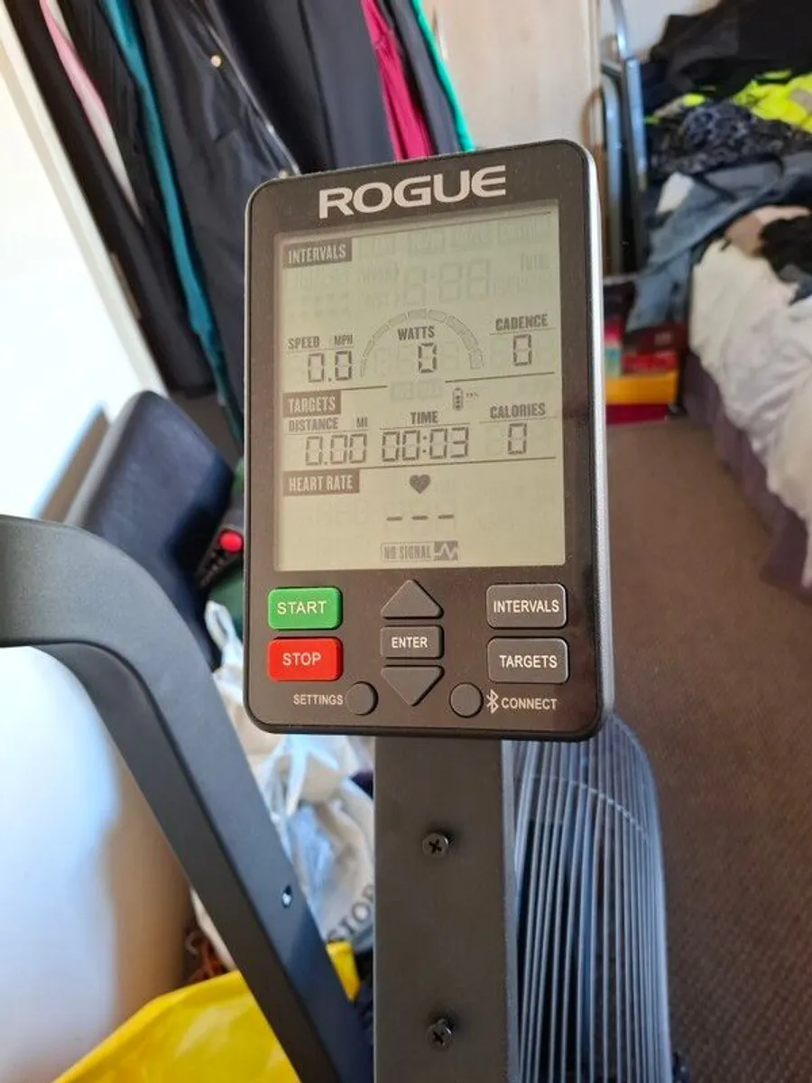 Echo rogue bike - Image 2