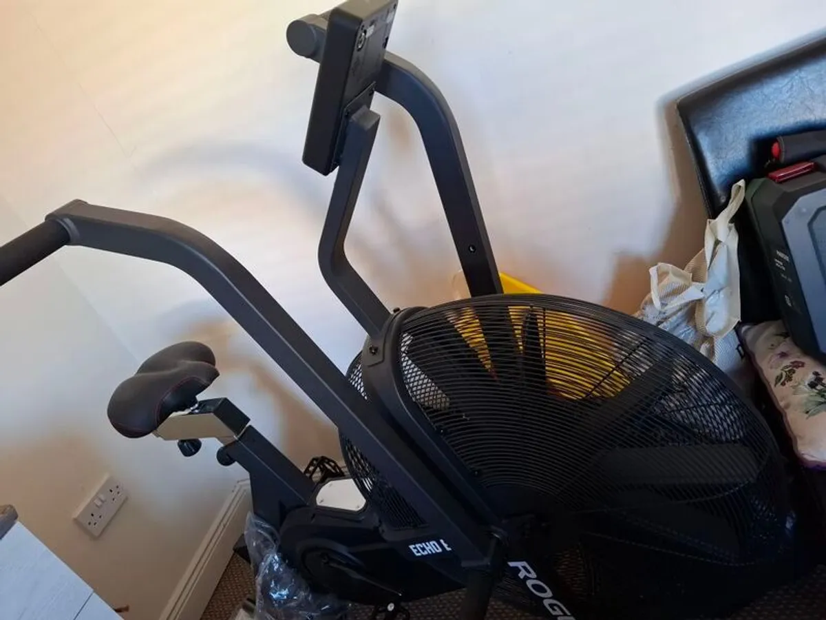 Echo rogue bike - Image 3