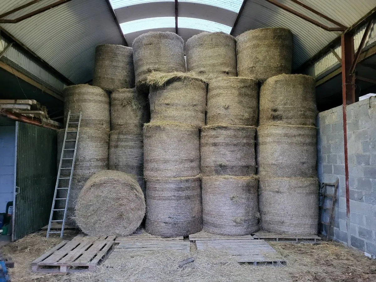 Hay for sale 2025 - Image 1
