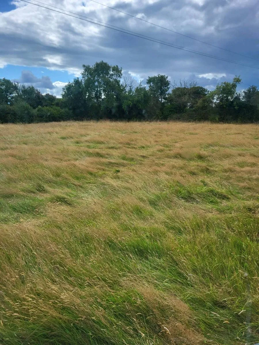 Hay for sale 2025 - Image 3