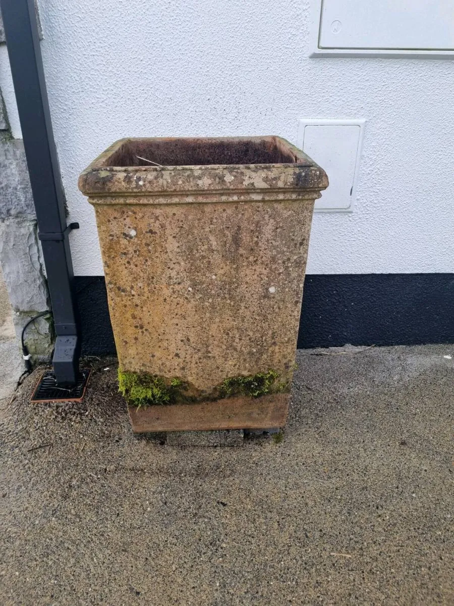 2 terracotta pots - Image 1