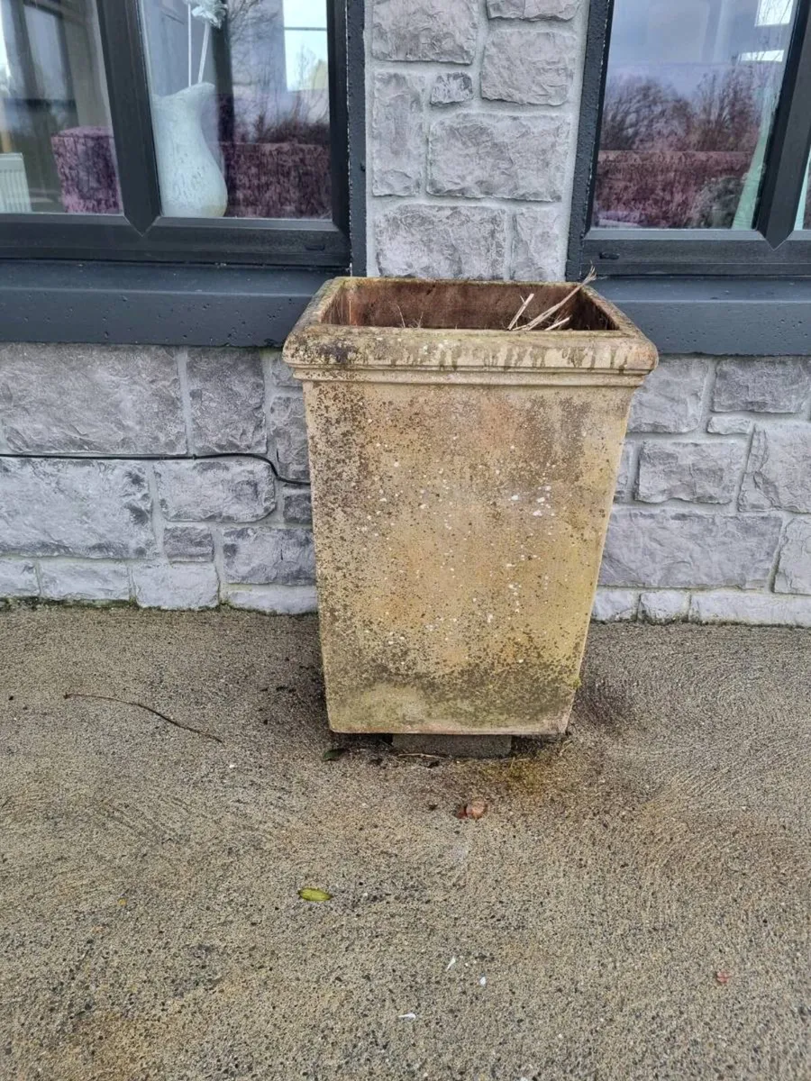 2 terracotta pots - Image 2