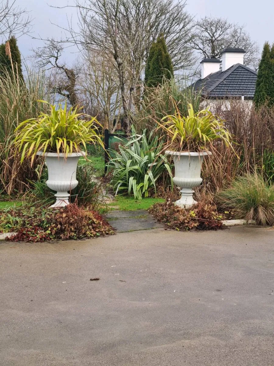 2 phoriums - Image 1