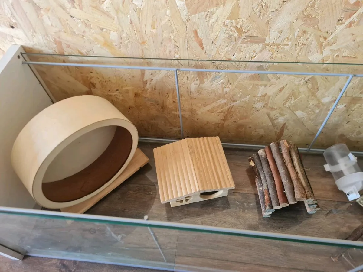 Enclosure for small pet - Image 2