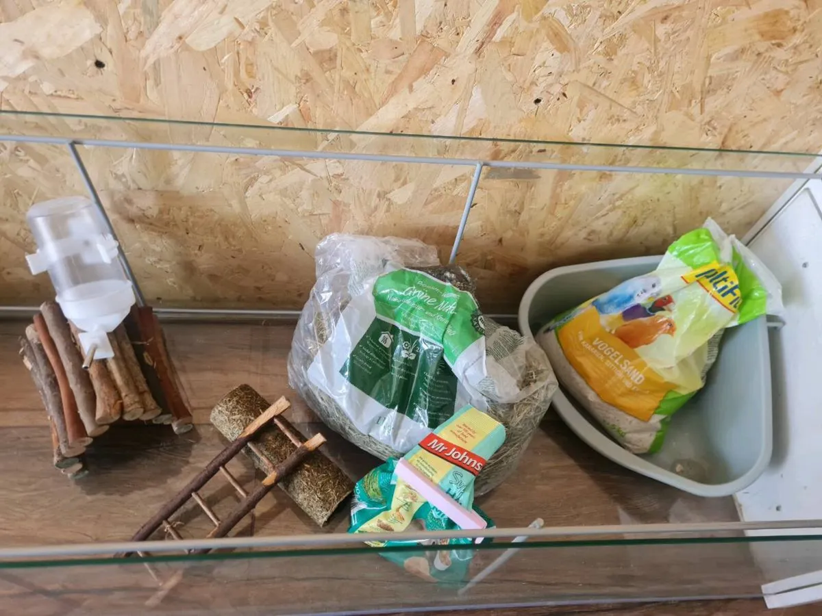 Enclosure for small pet - Image 3