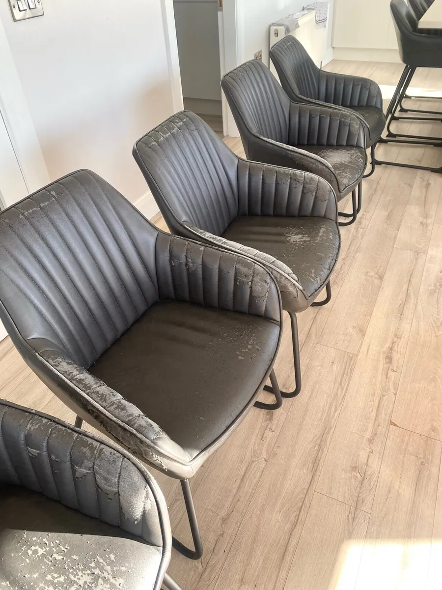 6 Dinning chairs - FREE - Image 2