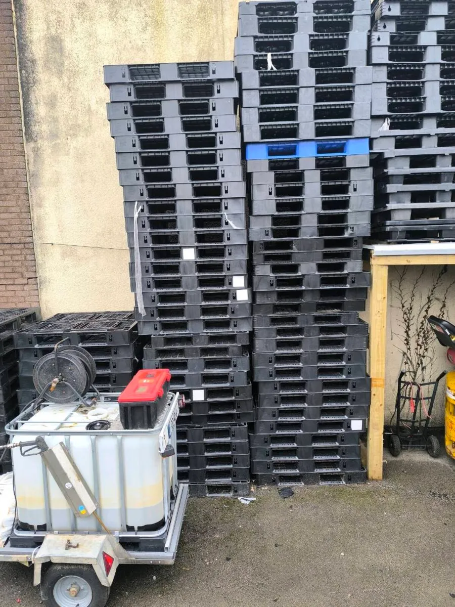 50 new plastic pallets - Image 3